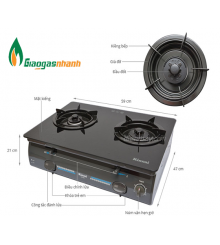 Bếp gas kính Rinnai RV-4600(GL-T)N