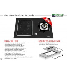 Bếp Gas Âm Cao Cấp