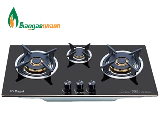 Bếp gas âm capri CR-309D